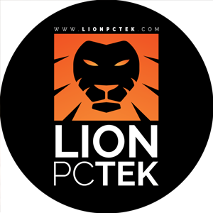 Lion PC Tek Gaming online strategia marketing successo nuovi clienti facebook reel instagram storie andrea minute silvia vernelli